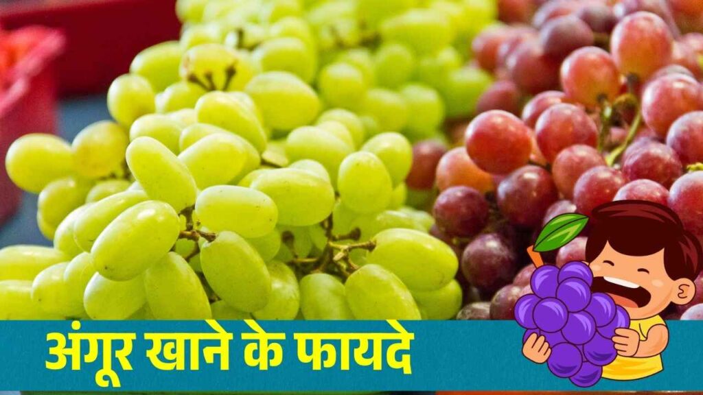 अंगूर दिखता ही छोटा है