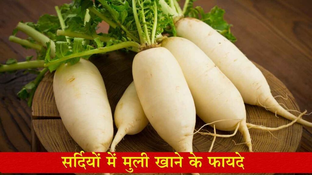 मूली (Radish)