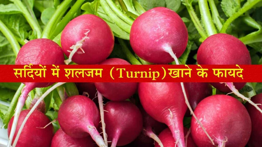शलजम (Turnip)