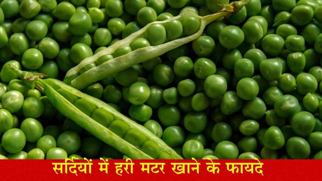 हरी मटर (Green Peas)