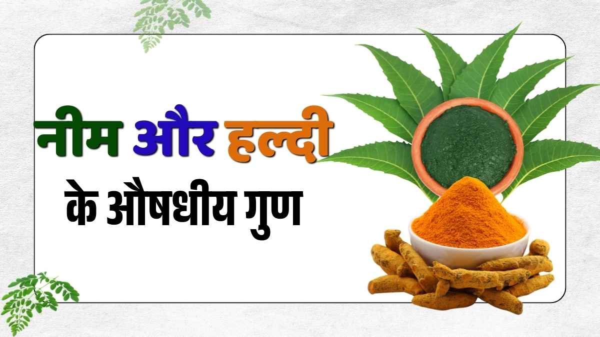 नीम और हल्दी के औषधीय गुण